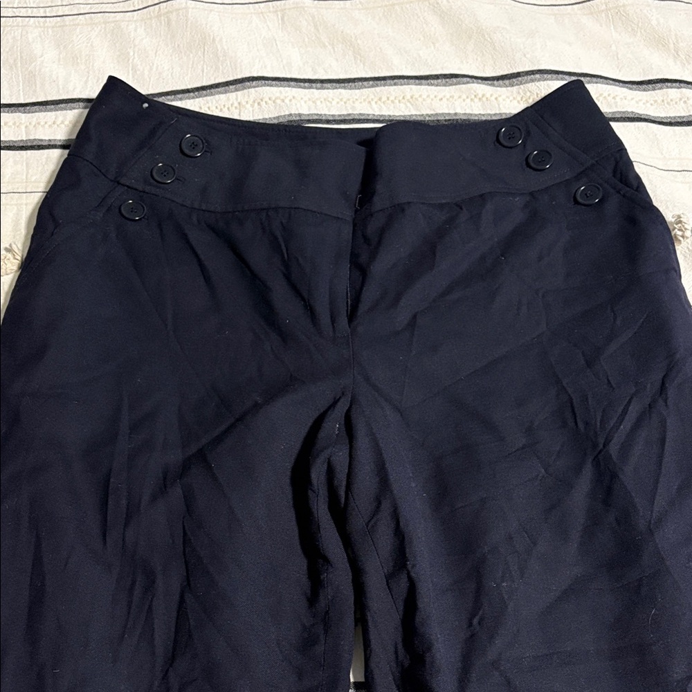 Ann Taylor Elegant Navy Trousers